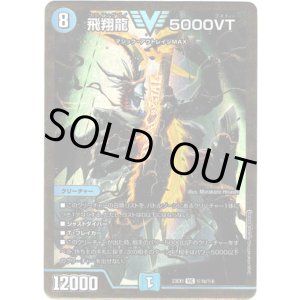 画像: 飛翔龍 5000VT(秘1b)