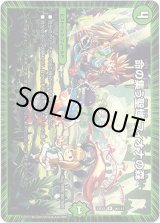 画像: 命の集う聖域 フィオナの森