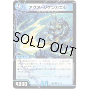 画像: アクア・ジゲンカエシ