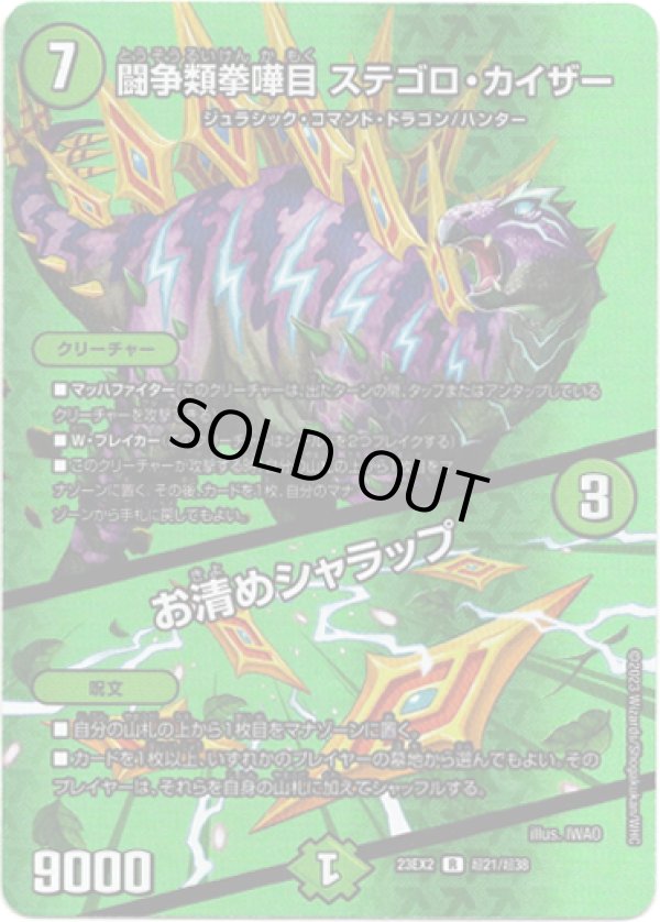 画像1: 闘争類拳嘩目 ステゴロ・カイザー / お清めシャラップ