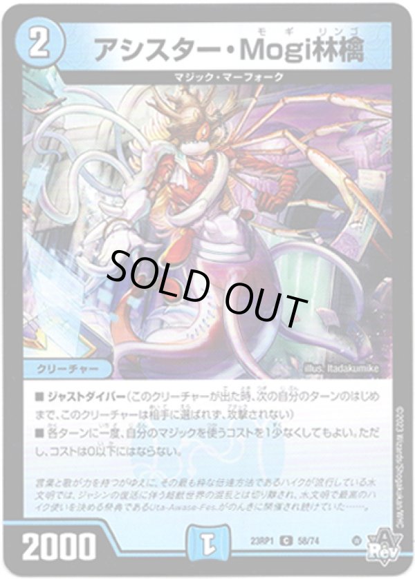 画像1: ※傷有り品（返品交換対象外）アシスター・Mogi林檎