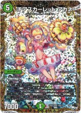 画像: チアスカーレット アカネ