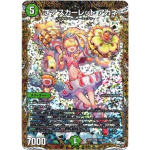 画像: チアスカーレット アカネ