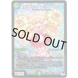画像: ※傷有り品（返品交換対象外）チアスカーレット アカネ