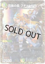 画像: 百族の長 プチョヘンザ