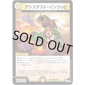 画像: ※傷有り品(返品交換対象外)アシステスト・インコッピ