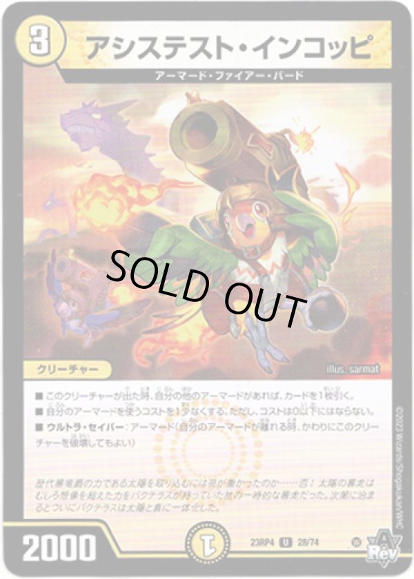 画像1: ※傷有り品（返品交換対象外）アシステスト・インコッピ