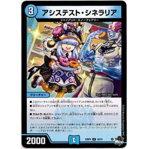 画像: ※傷有り品（返品交換対象外）アシステスト・シネラリア