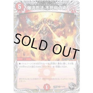 画像: 爆流忍法 不死鳥の術(黒)