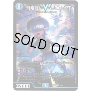 画像: 飛翔龍 5000VT