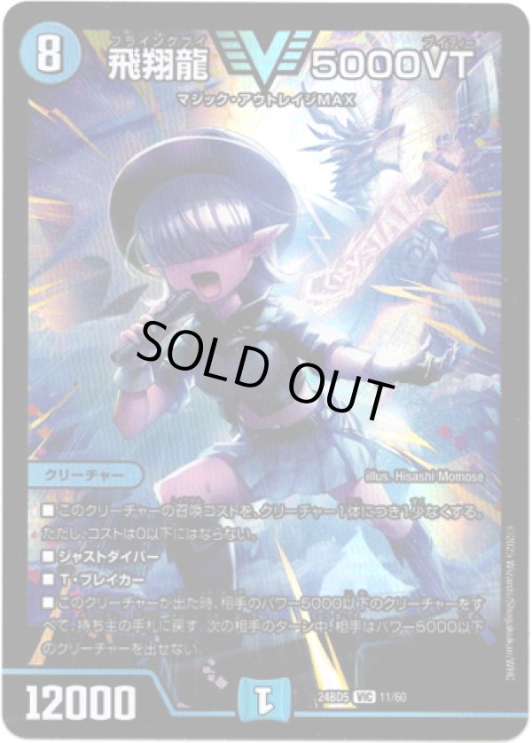 画像1: 飛翔龍 5000VT