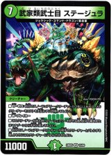 画像: 武家類武士目 ステージュラ