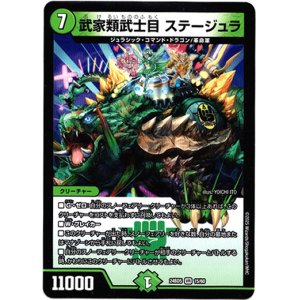 画像: 武家類武士目 ステージュラ