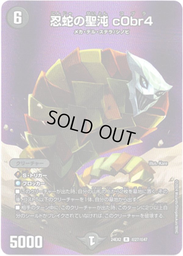 画像1: 忍蛇の聖沌 c0br4