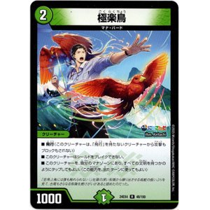 画像: 極楽鳥