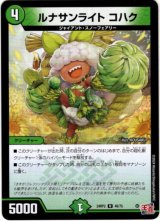 画像: ルナサンライト コハク