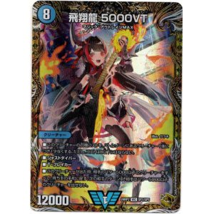 画像: 飛翔龍 5000VT