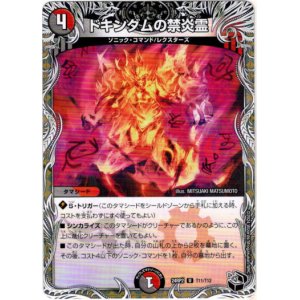 画像: ドキンダムの禁炎霊