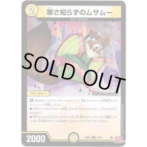 画像: 寒さ知らずのムサムー
