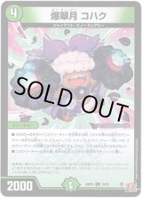 画像: 爆翠月 コハク