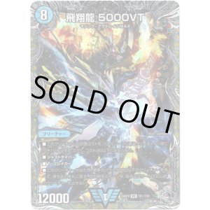 画像: 飛翔龍 5000VT