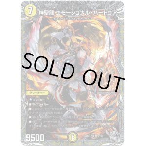 画像: 神聖龍 エモーショナル・ハードコア