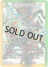 画像: 百族の長 プチョヘンザ