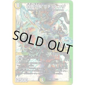 画像: 百族の長 プチョヘンザ