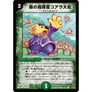 画像: ※傷有り品(返品交換対象外)森の指揮官コアラ大佐