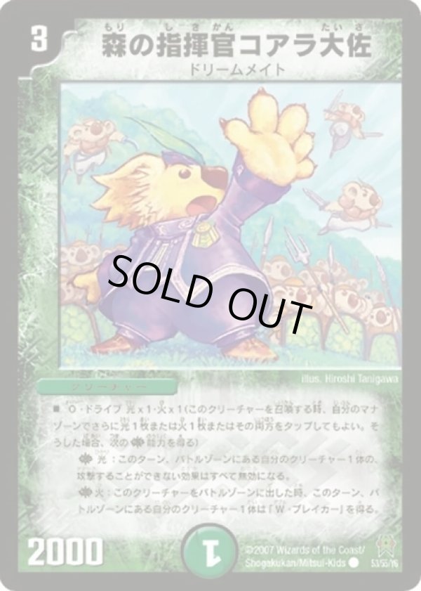 画像1: ※傷有り品（返品交換対象外）森の指揮官コアラ大佐