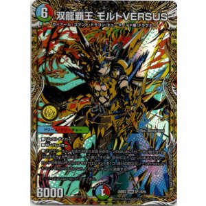画像: 双龍覇王 モルトVERSUS