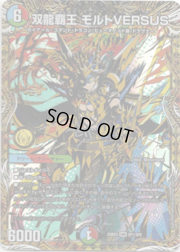 画像1: 双龍覇王 モルトVERSUS