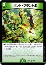 画像: ボント・プラントボ