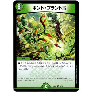 画像: ボント・プラントボ