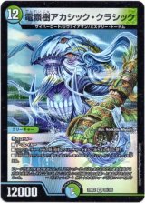 画像: 電嶺樹アカシック・クラシック