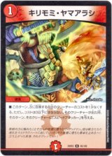 画像: キリモミ・ヤマアラシ