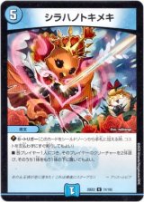 画像: シラハノトキメキ