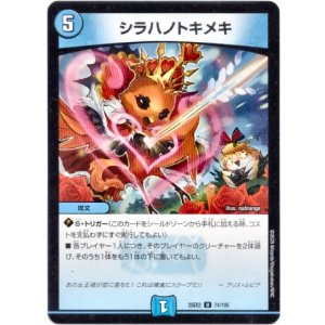画像: シラハノトキメキ