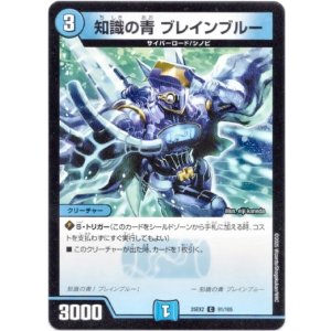 画像: 知識の青 ブレインブルー