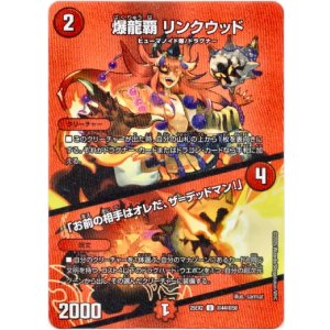 画像: 爆龍覇 リンクウッド / 「お前の相手はオレだ、ザ=デッドマン！」