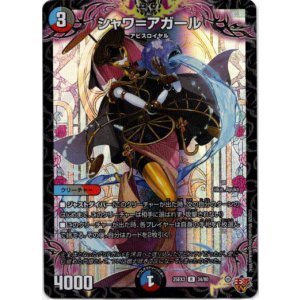 画像: シャワ＝アガール