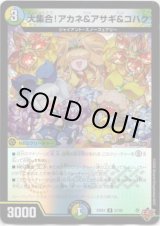 画像: 大集合！アカネ&アサギ&コハク