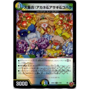 画像: 大集合！アカネ&アサギ&コハク