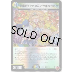 画像: 大集合！アカネ&アサギ&コハク