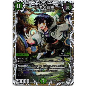 画像: ブラキオ龍樹