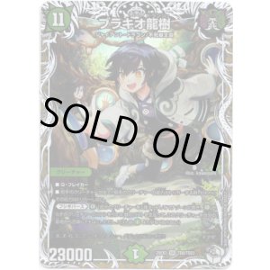 画像: ブラキオ龍樹