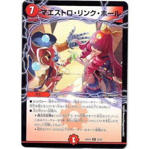 画像: マエストロ・リンク・ホール