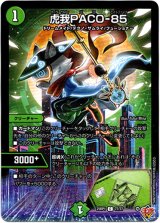 画像: 虎我PACO-85