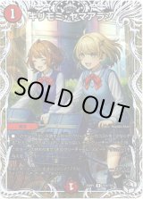 画像: キリモミ・ヤマアラシ