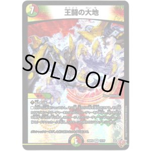 画像: ※傷有り品（返品交換対象外）王闘の大地